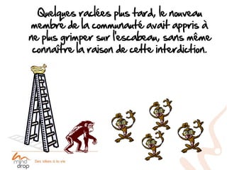 Quelques raclées plus tard, le nouveau
membre de la communauté avait appris à
ne plus grimper sur l’escabeau, sans même
 connaître la raison de cette interdiction.
 