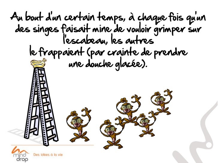 Def Un Exemple De Vertu