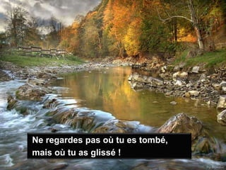 Ne regardes pas où tu es tombé,mais où tu as glissé !