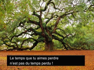 Le temps que tu aimes perdre n’est pas du temps perdu !