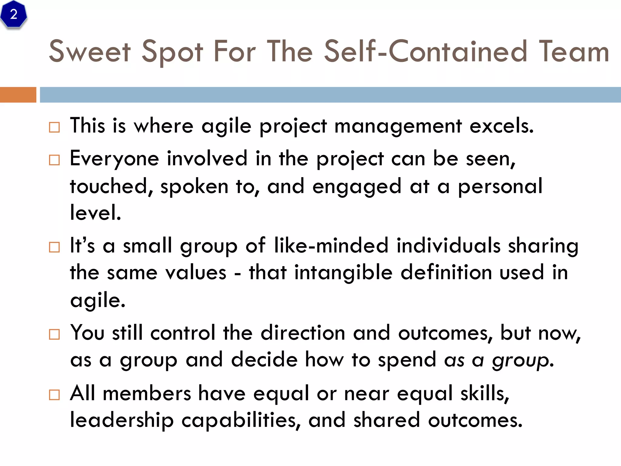 Paradigm of agile project management (update)