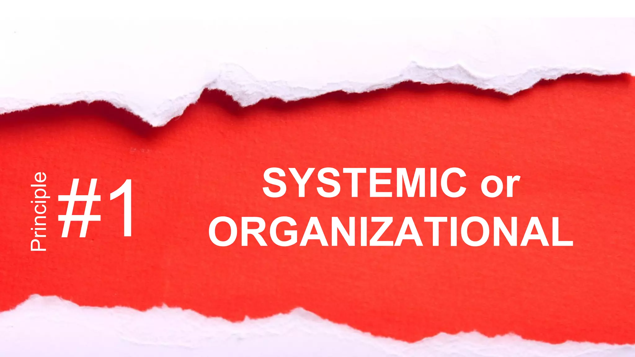 Principle
#1 SYSTEMIC or
ORGANIZATIONAL
 