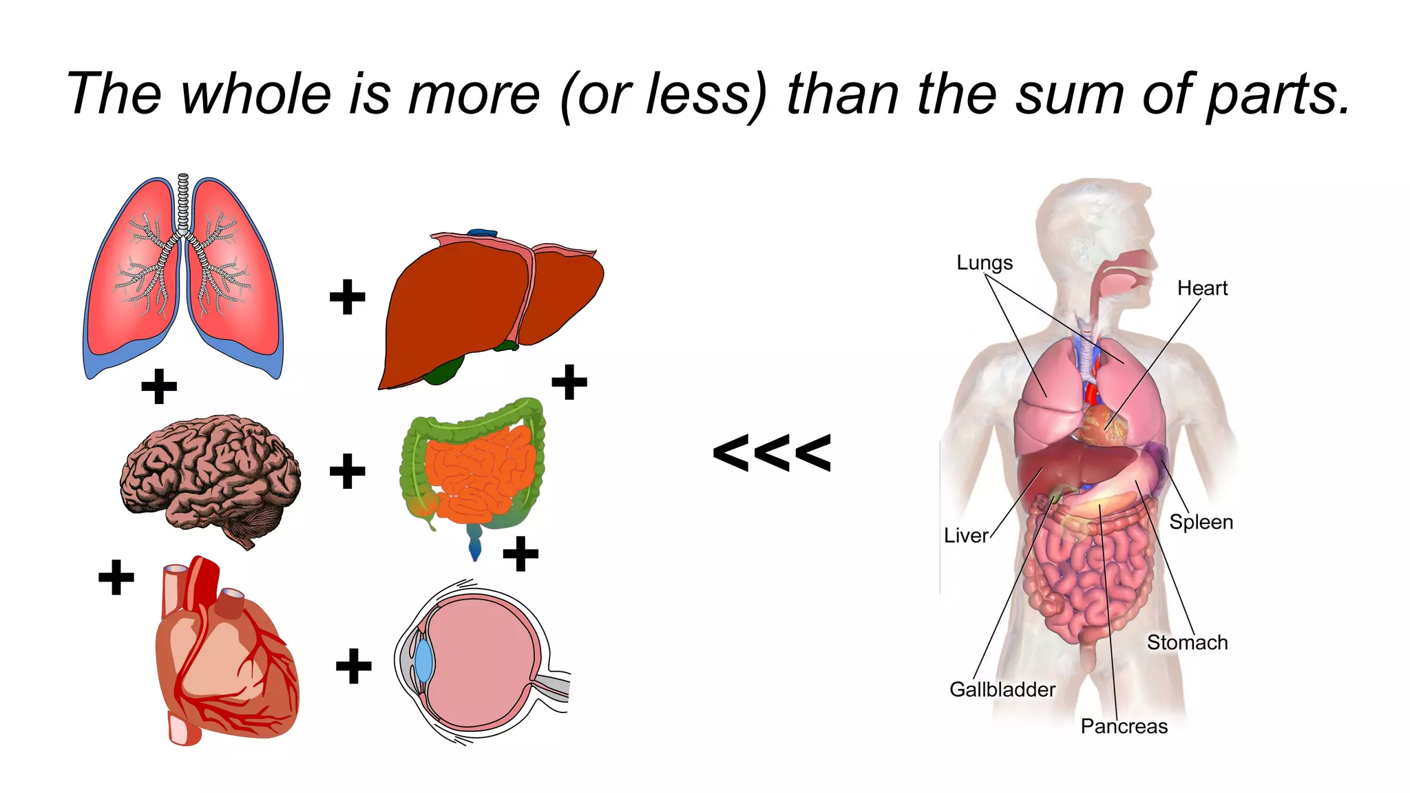 The whole is more (or less) than the sum of parts.
<<<
+
+
+
+ +
++
 