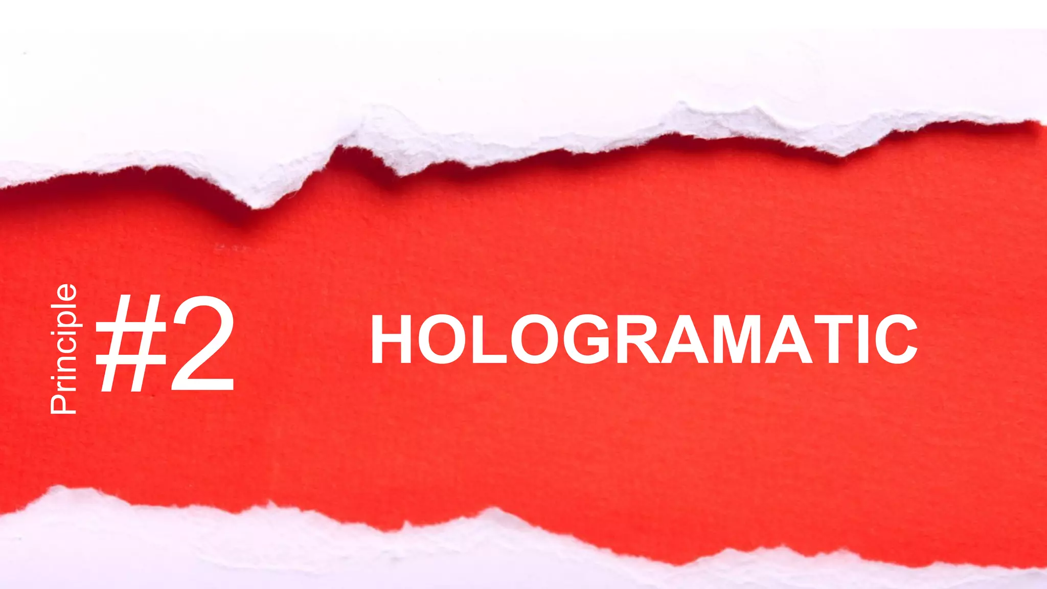 Principle
#2 HOLOGRAMATIC
 