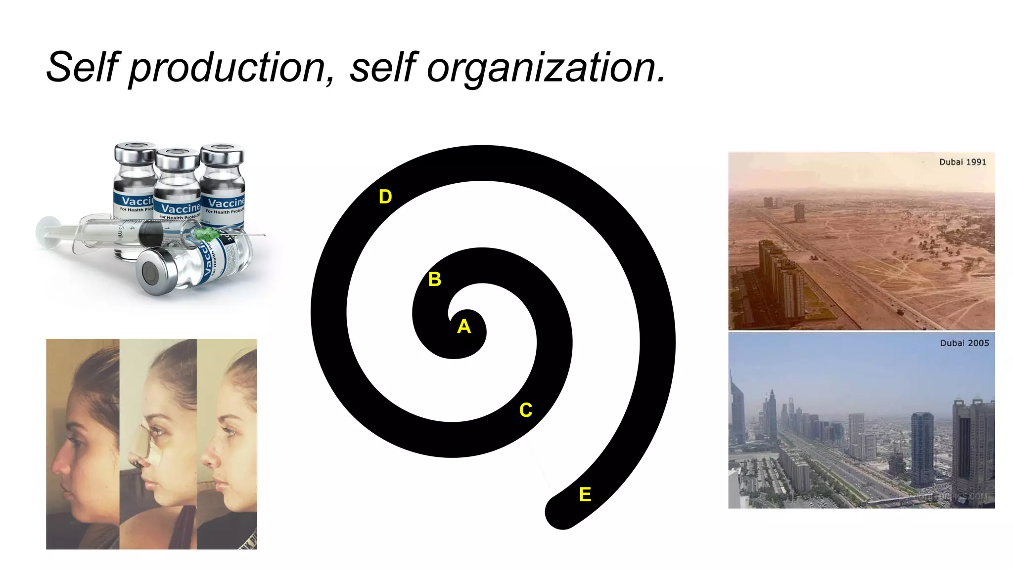 Self production, self organization.
A
B
C
D
E
 