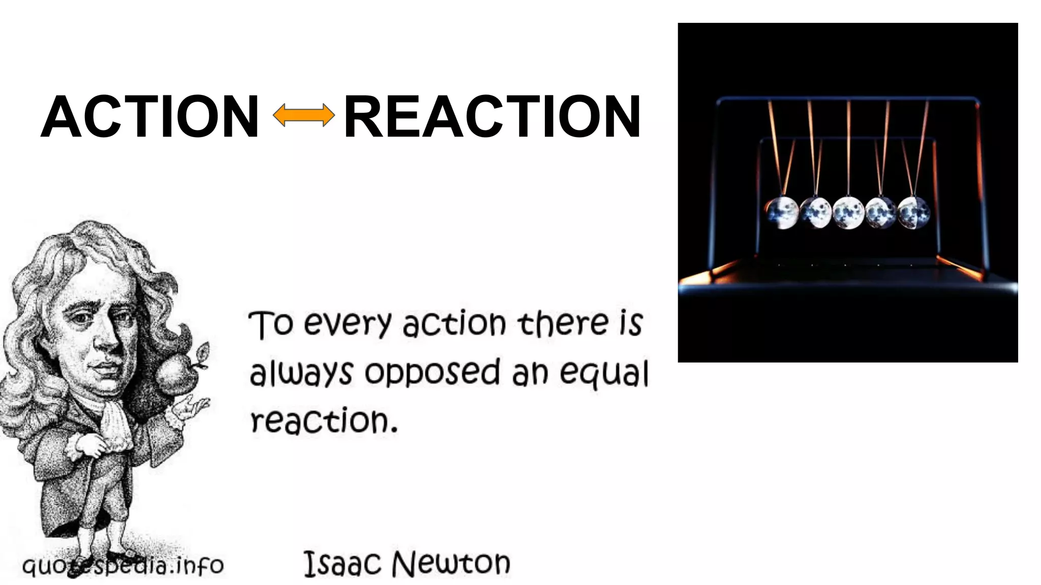 ACTION REACTION
 