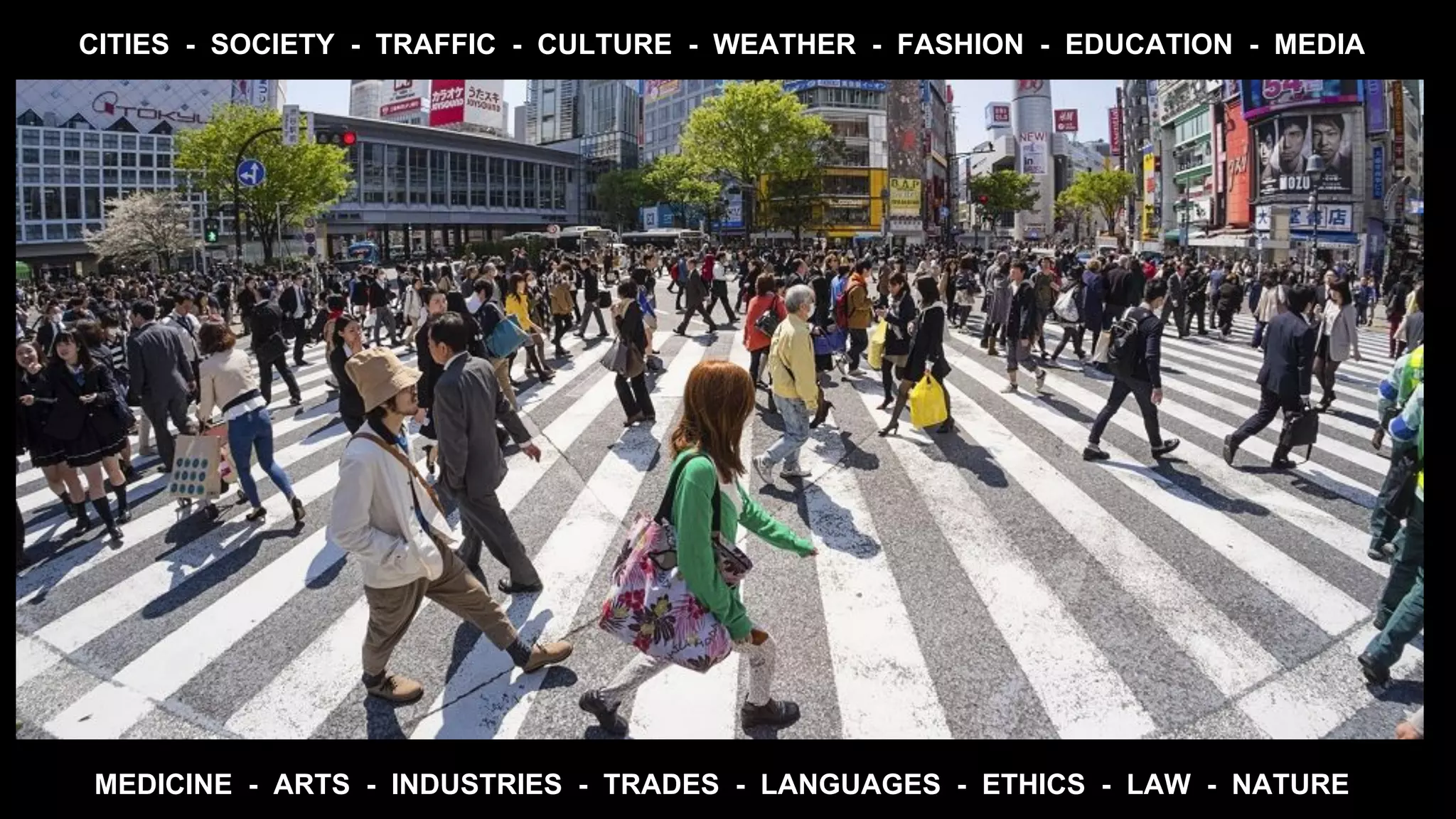 CITIES - SOCIETY - TRAFFIC - CULTURE - WEATHER - FASHION - EDUCATION - MEDIA
MEDICINE - ARTS - INDUSTRIES - TRADES - LANGUAGES - ETHICS - LAW - NATURE
 