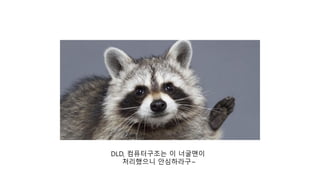 DLD, 컴퓨터구조는 이 너굴맨이
처리했으니 안심하라구~
 