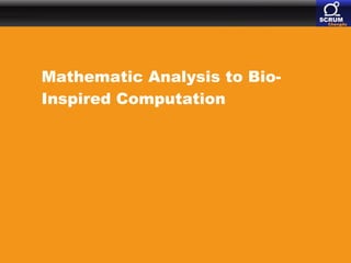 Mathematic Analysis to Bio-Inspired Computation 