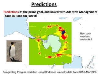 Predictions
Predictions as the prime goal, and linked with Adaptive Management
(done in Random Forest)




                                                                   Best data
                                                                   used and
                                                                   available ?




Pelagic King Penguin prediction using RF (french telemetry data from SCAR-MARBIN)
 