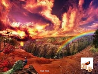 THE END 