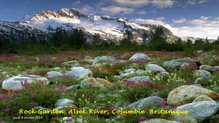 Rock Garden, Alsek River, Columbie Britanique
jeudi 9 janvier 2014

 