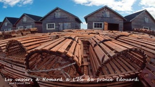 Les casiers à Homard à L’Île du prince Édouard.
jeudi 9 janvier 2014

 
