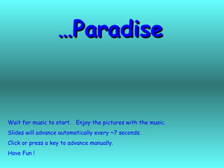 Paradise… Wait for music to start.  Enjoy the pictures with the music. Slides will advance automatically every ~7 seconds. Click or press a key to advance manually. Have Fun ! 
