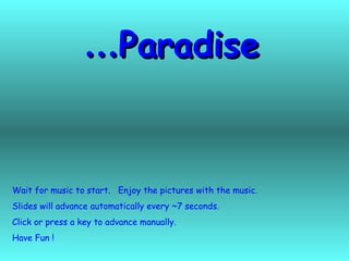 …Paradise


Wait for music to start. Enjoy the pictures with the music.
Slides will advance automatically every ~7 seconds.
Click or press a key to advance manually.
Have Fun !
 
