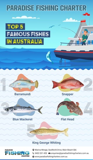 Fishing Brisbane | PDF