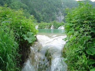 Paradise   miljba09001042009