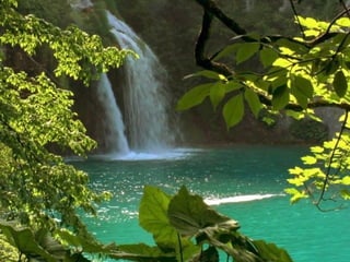 Paradise   miljba09001042009