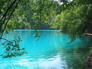 Paradise   miljba09001042009