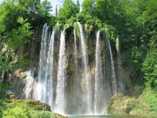 Paradise   miljba09001042009