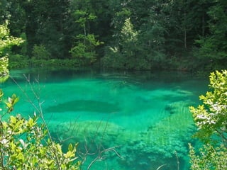 Paradise   miljba09001042009