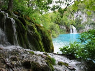 Paradise   miljba09001042009