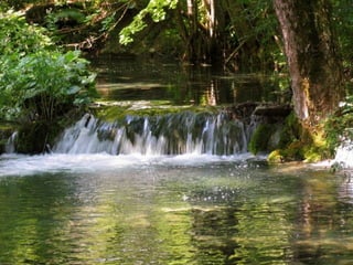 Paradise   miljba09001042009