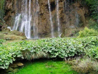 Paradise   miljba09001042009