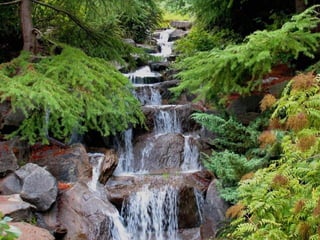 Paradise   miljba09001042009