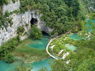 Paradise   miljba09001042009