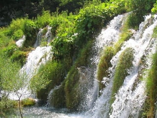 Paradise   miljba09001042009