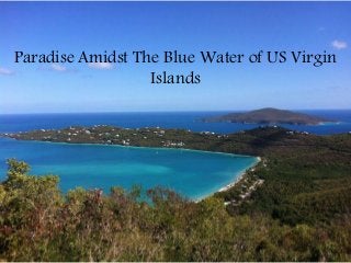 Paradise Amidst The Blue Water of US Virgin 
Islands 
 