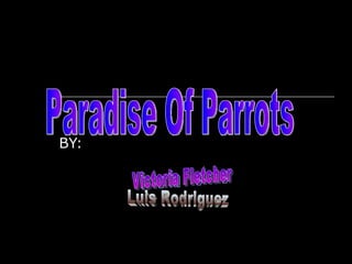 BY: Paradise Of Parrots  Victoria Fletcher Luis Rodriguez Jeremiah MCclinton 