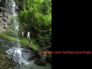 Plan your next holidays accordingly