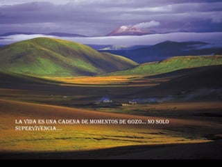 La vida es una cadena de momentos de gozo... No solo supervivencia.... 