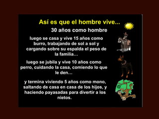 Así es que el hombre vive...
              30 años como hombre
   luego se casa y vive 15 años como
     burro, trabajando de sol a sol y
  cargando sobre su espalda el peso de
                la familia…
  luego se jubila y vive 10 años como
perro, cuidando la casa, comiendo lo que
                le den…

 y termina viviendo 5 años como mono,
 saltando de casa en casa de los hijos, y
 haciendo payasadas para divertir a los
                 nietos.
 