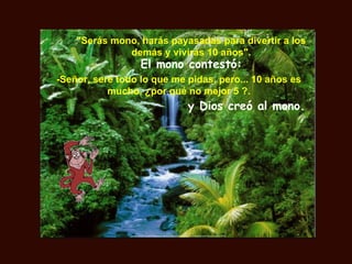 "Serás mono, harás payasadas para divertir a los
              demás y vivirás 10 años".
                  El mono contestó:
-Señor, seré todo lo que me pidas, pero... 10 años es
           mucho, ¿por qué no mejor 5 ?.
                            y Dios creó al mono..
 