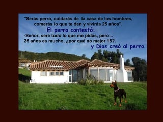 "Serás perro, cuidarás de la casa de los hombres,
comerás lo que te den y vivirás 25 años".
El perro contestó:
-Señor, seré todo lo que me pidas, pero...
25 años es mucho, ¿por qué no mejor 15?.
y Dios creó al perro.
 