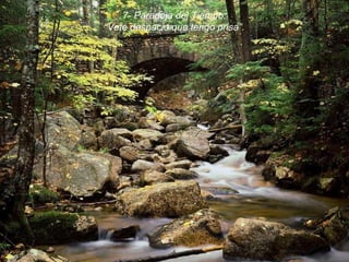 7- Paradoja del Tiempo: “ Vete despacio que tengo prisa”. 