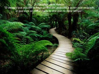 5- Paradoja de la Ayuda: “ Si deseas que alguien te haga un trabajo, pídeselo a quien esté ocupado; el que está sin hacer nada te dirá que no tiene tiempo”. 