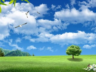 Umweltschutz Paradox