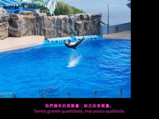 我們擁有的是數量，缺乏的是質量。
Temos grande quantidade, mas pouca qualidade.
 