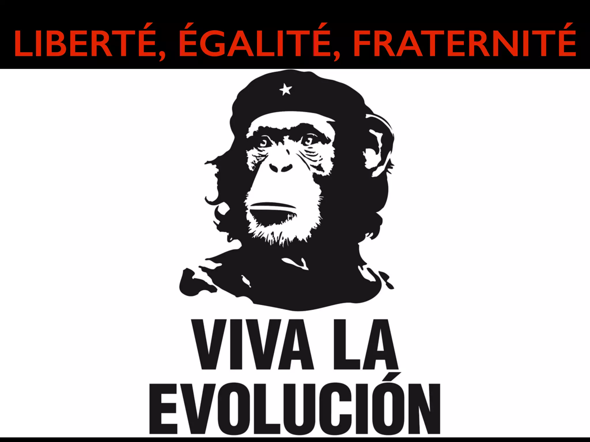 LIBERTÉ, ÉGALITÉ, FRATERNITÉ 
 