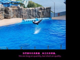 我們擁有的是數量，缺乏的是質量。 We are long on quantity, but short on quality. 