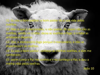 11 Eu sou o bom pastor; o bom pastor dá a sua vida pelas
ovelhas.
12 Mas o que é mercenário, e não pastor, de quem não são as
ovelhas, vendo vir o lobo, deixa as ovelhas e foge; e o lobo as
arrebata e dispersa.
13 Ora, o mercenário foge porque é mercenário, e não se
importa com as ovelhas.
14 Eu sou o bom pastor; conheço as minhas ovelhas, e elas me
conhecem,
15 assim como o Pai me conhece e eu conheço o Pai; e dou a
minha vida pelas ovelhas.
João 10
 