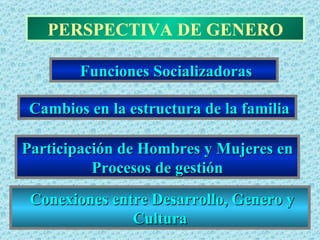 PERSPECTIVA DE GENERO Funciones Socializadoras Participación de Hombres y Mujeres en Procesos de gestión Conexiones entre Desarrollo, Genero y Cultura Cambios en la estructura de la familia 