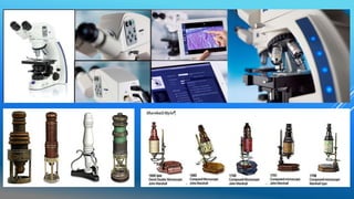 MICROSCOPIO-POWER POINT