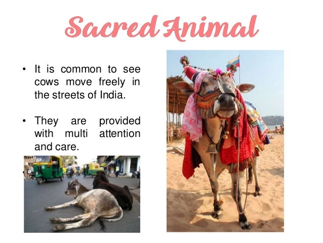 Flora and Fauna of India
