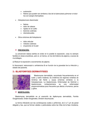 sudoración
              fiebres que pueden ser similares a las de la tuberculosis pulmonar e incluir
              tos con sangre (hemoptisis)

       Histoplasmosis diseminada:

              fiebres
              dolor de cabeza
              rigidez en el cuello
              lesiones cutáneas
              úlcerasbucales

       Otros síntomas del histoplasma:

              dolor articular
              nódulos cutáneos
              erupciones en la piel

       PREVENCIÓN:

    La prevención básica estriba en evitar en lo posible la exposición, cosa no siempre
factible en áreas enzoóticas, pero sí, al menos, en los dormideros de pájaros y cuevas de
murciélagos.

a) Reducir la exposición a excrementos de pájaros.

b) Itraconazol, ketoconazol o anfotericina B en función de la gravedad de la infección y
estado del paciente.

3.- BLASTOMYSES DERMATITIDES
                             Blastomyces dermatitidis, encontrado frecuentemente en el
                         suelo y sobre maderas. Es endémica de regiones norteñas de
                         América del Norte y causa síntomas similares a la
                         histoplasmosis. La blastomicosis, Enfermedad de Gilchrist o
                         blastomicosis    norteamericana      es    una    enfermedad
                         piogranulomatosa poco frecuente que afecta a humanos, perros
                         y gatos.

       MORFOLOGÍA:

   Blastomyces dermatitidis es el anamorfo de Ajellomyces dermatitidis, Familia
Onygenaceae, Orden Onygenales, División Ascomycota.

    La forma infectante son las conidiosporas ovales o piriformes, de 2 a 7 μm de pared
delgada y lisa, que se forman sésiles o pediculadas sobre las hifas de la fase miceliana,
 