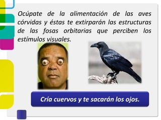 Ocúpate de la alimentación de las aves
córvidas y éstas te extirparán las estructuras
de las fosas orbitarias que perciben los
estímulos visuales.
Cría cuervos y te sacarán los ojos.
 